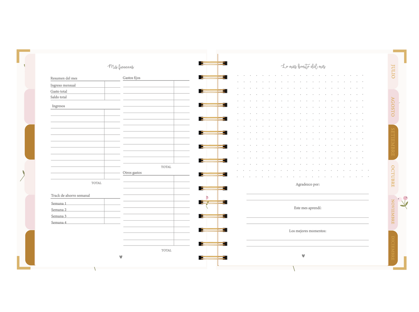 AGENDA JUMBO BIDIARIA PAZ (IMPERFECTA)