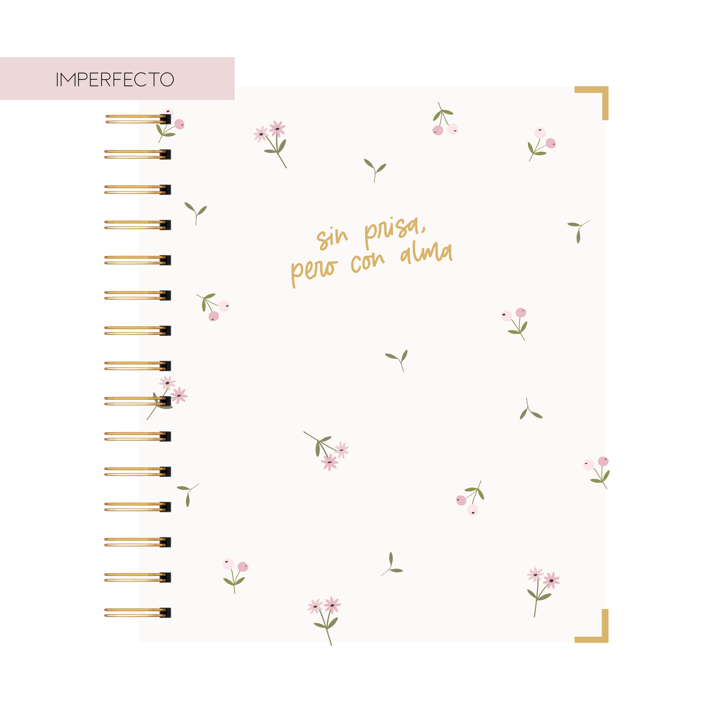 AGENDA BIDIARIA PAZ