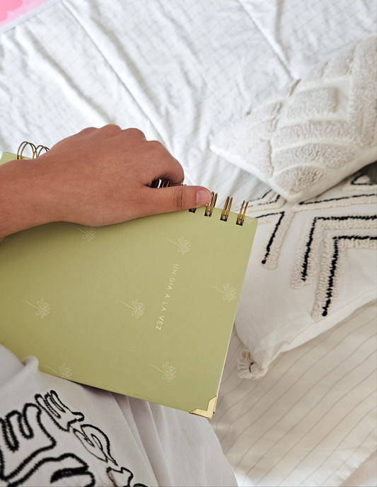 AGENDA SEMANAL ALEGRA