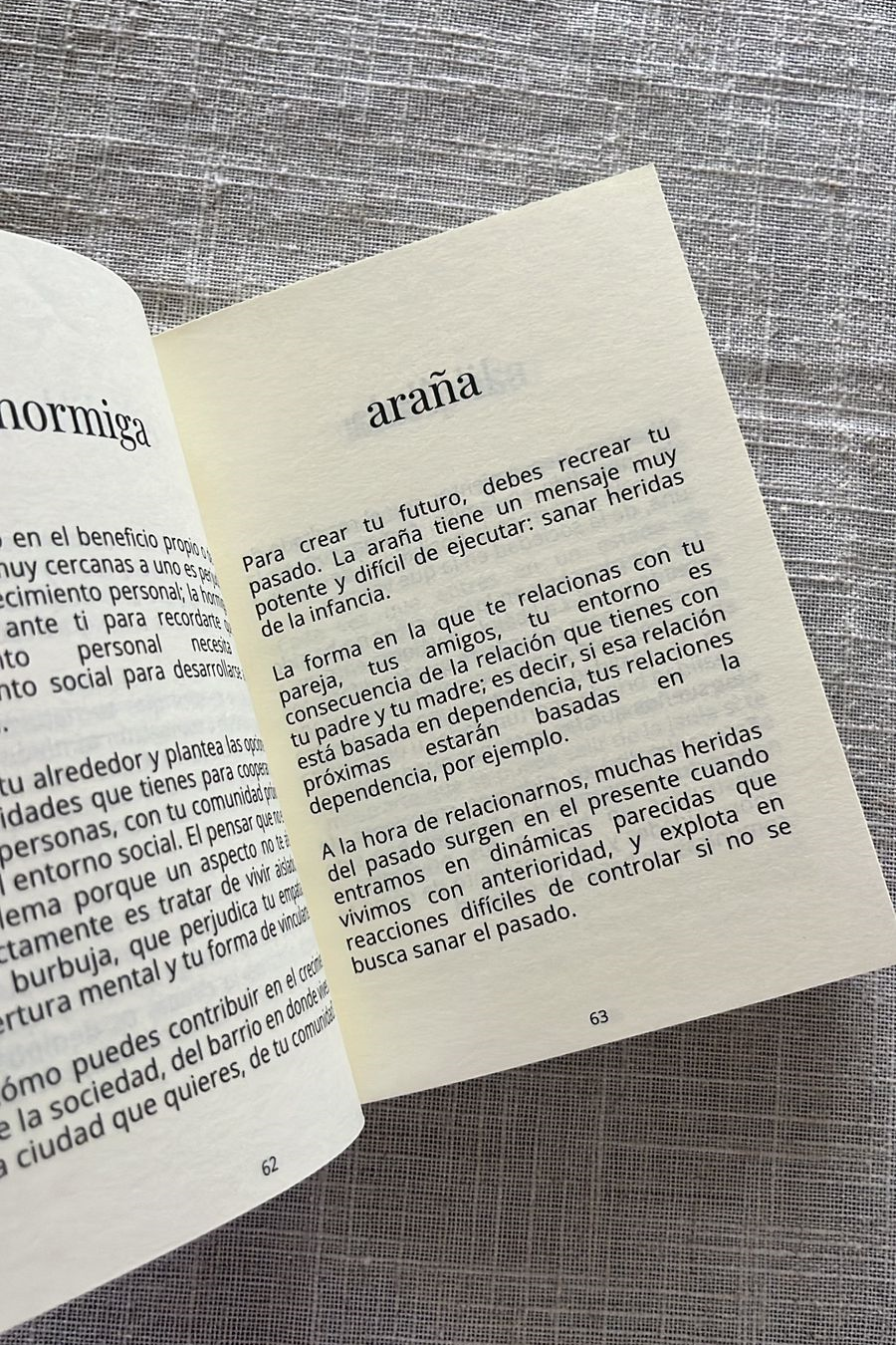 LIBRO "EL UNIVERSO ME HABLA"