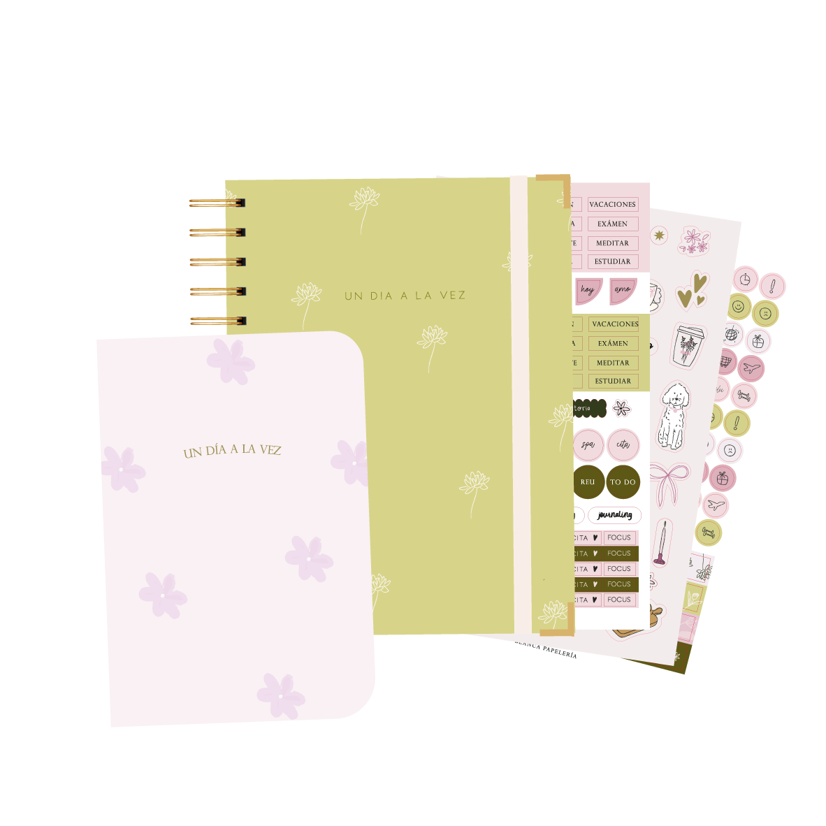 MINI KIT AGENDA ALEGRA