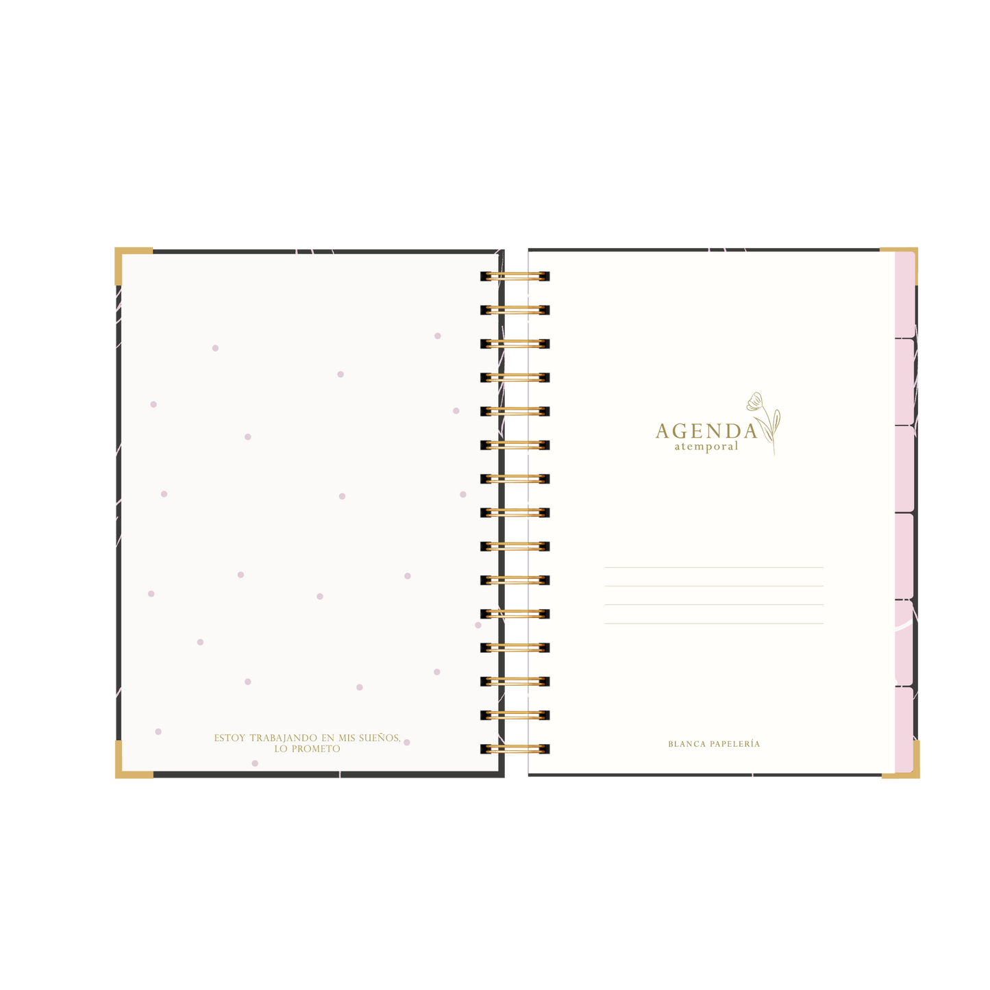 AGENDA SEMANAL LAVANDA (IMPERFECTA)