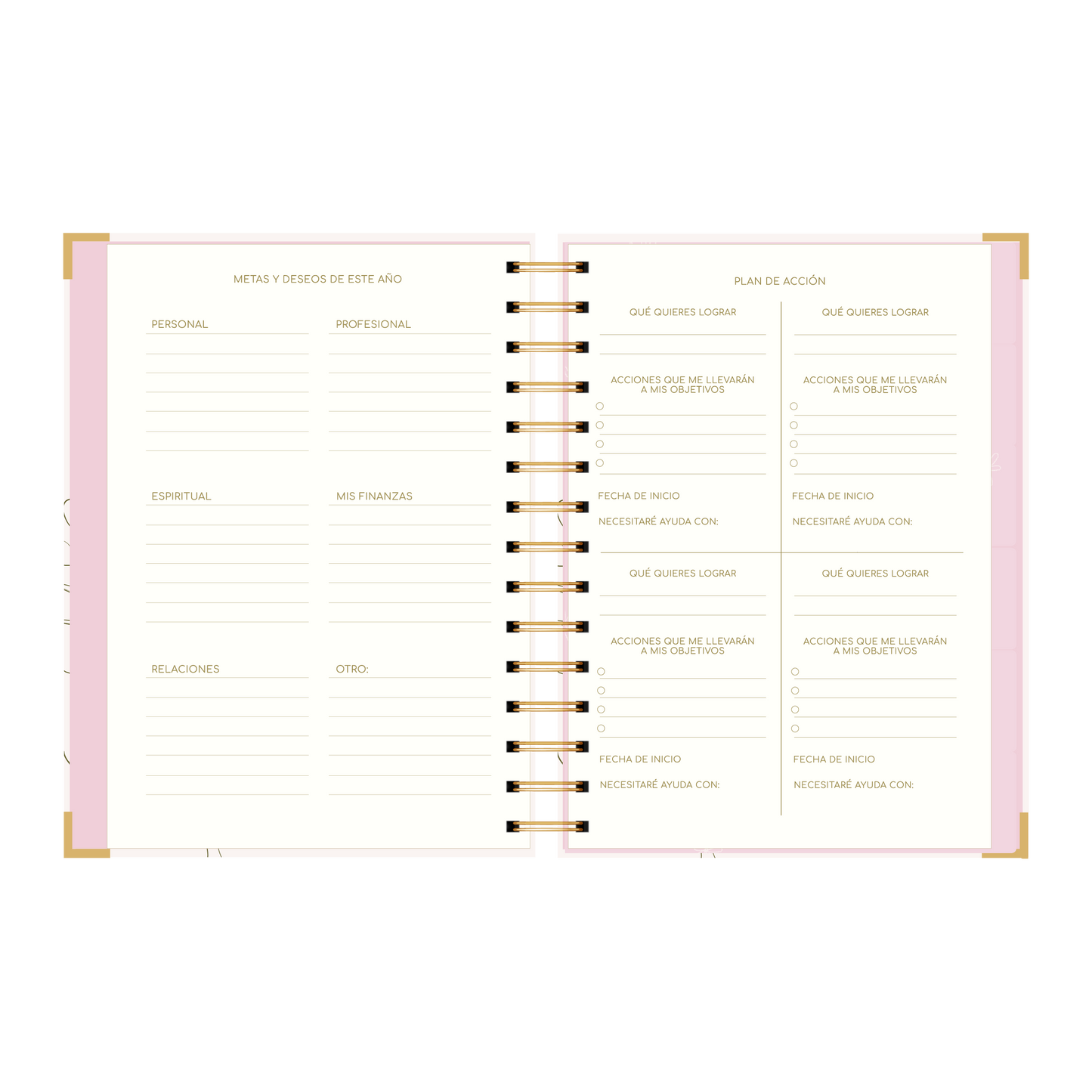 SECCION METAS Y PLAN DE ACCION DE LA AGENDA