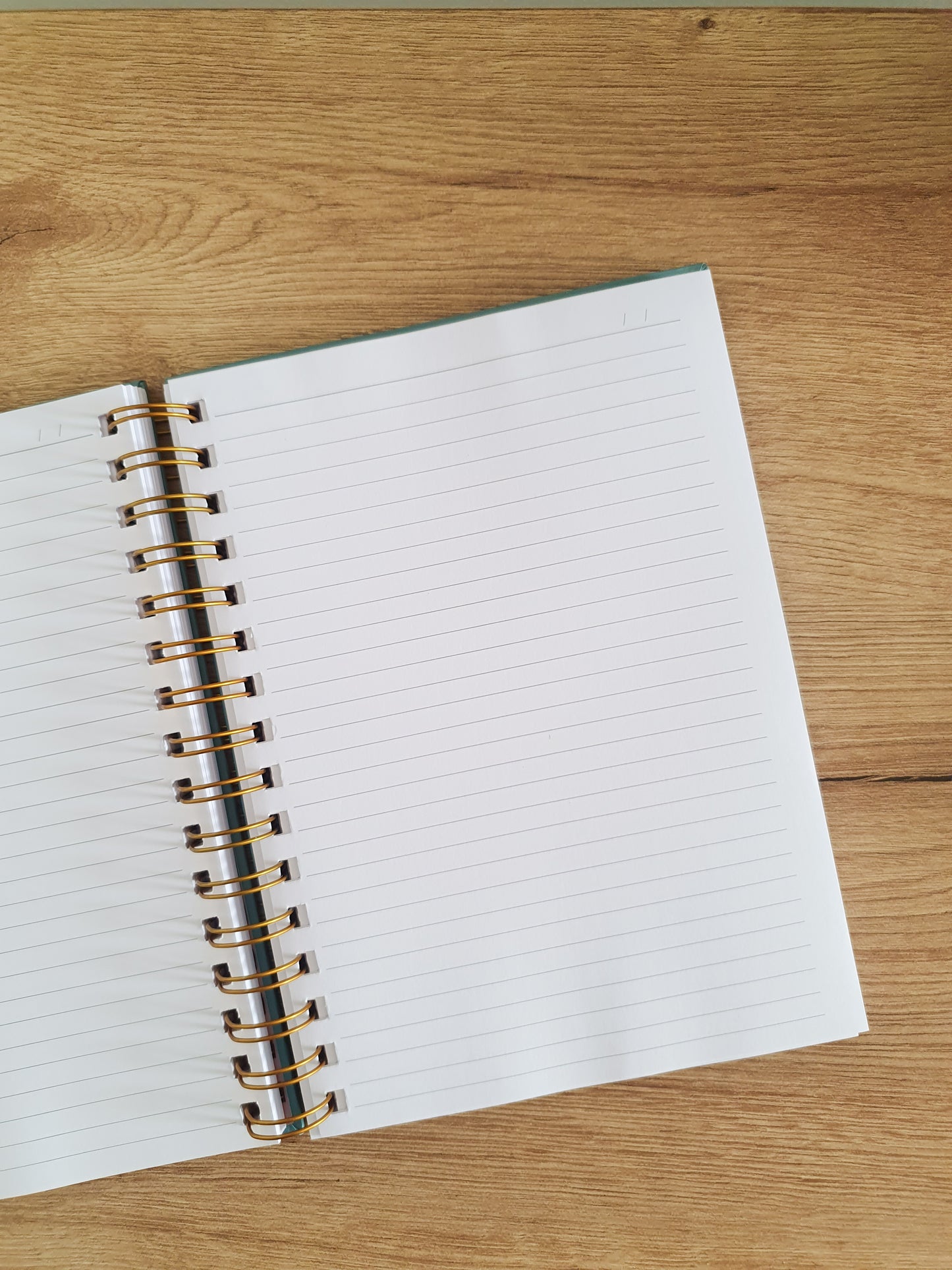 CUADERNO ALEGRA (IMPERFECTO)