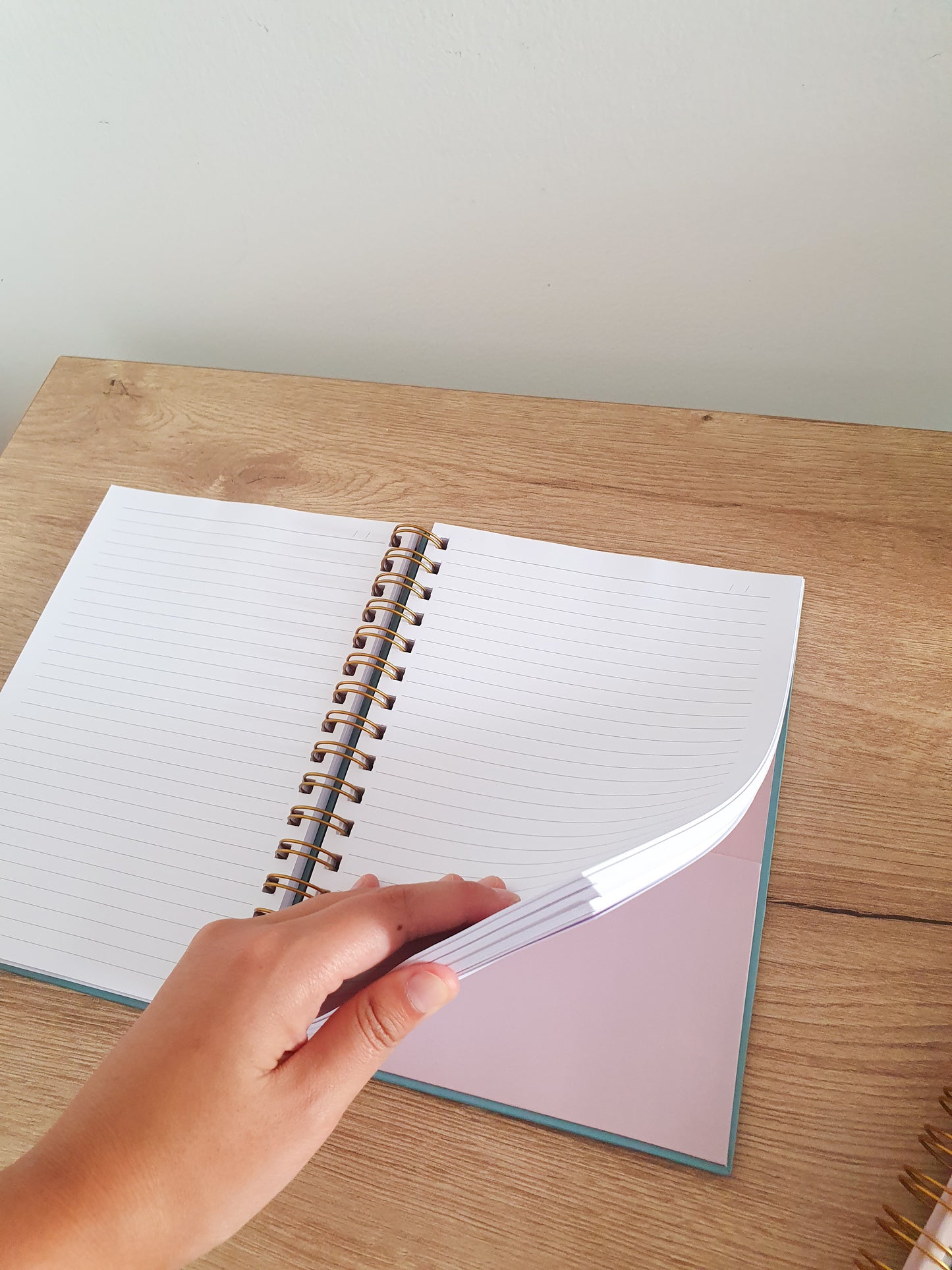 CUADERNO ALEGRA (IMPERFECTO)
