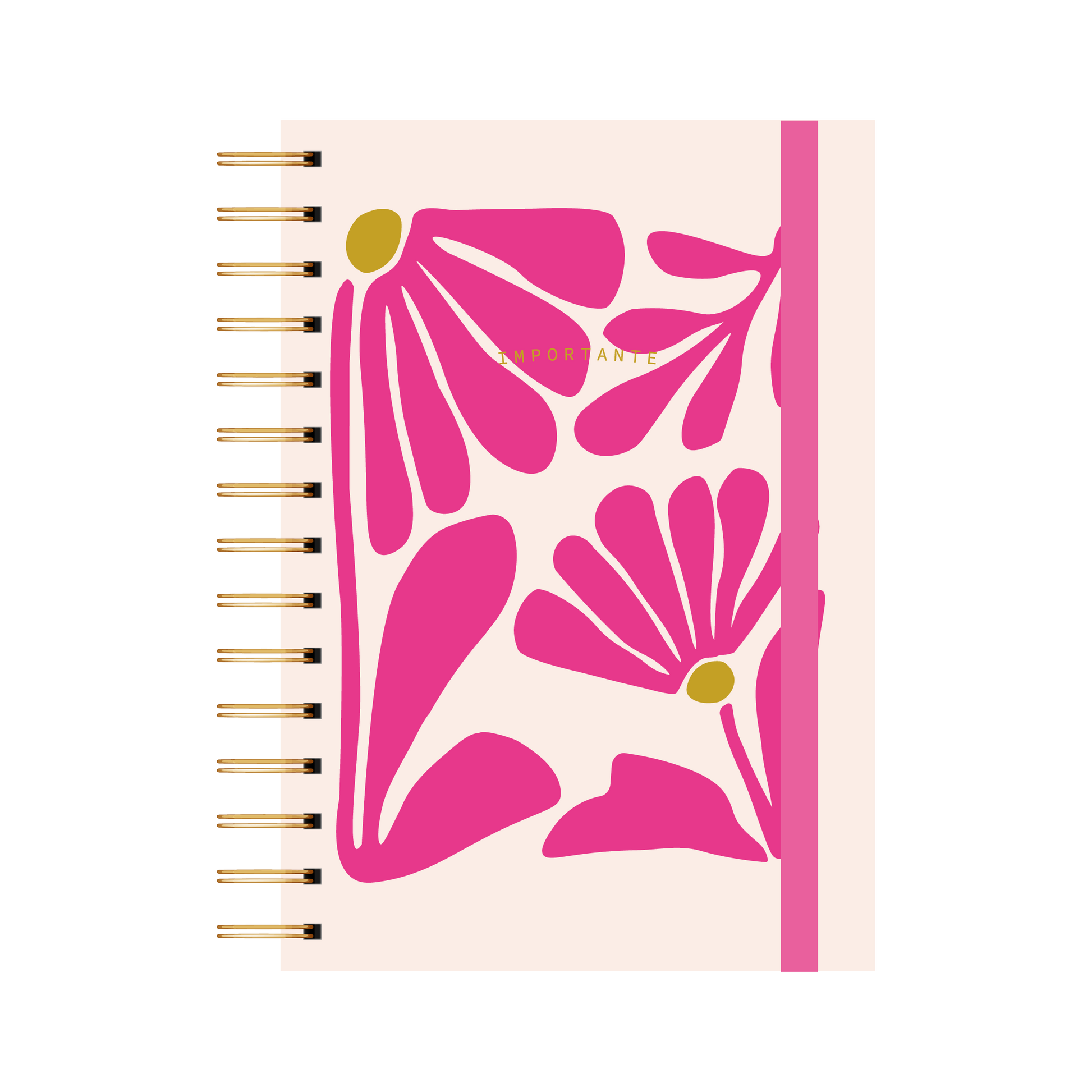 CUADERNO RAYADO ALEGRA
