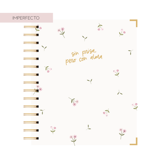 AGENDA JUMBO BIDIARIA PAZ (IMPERFECTA)