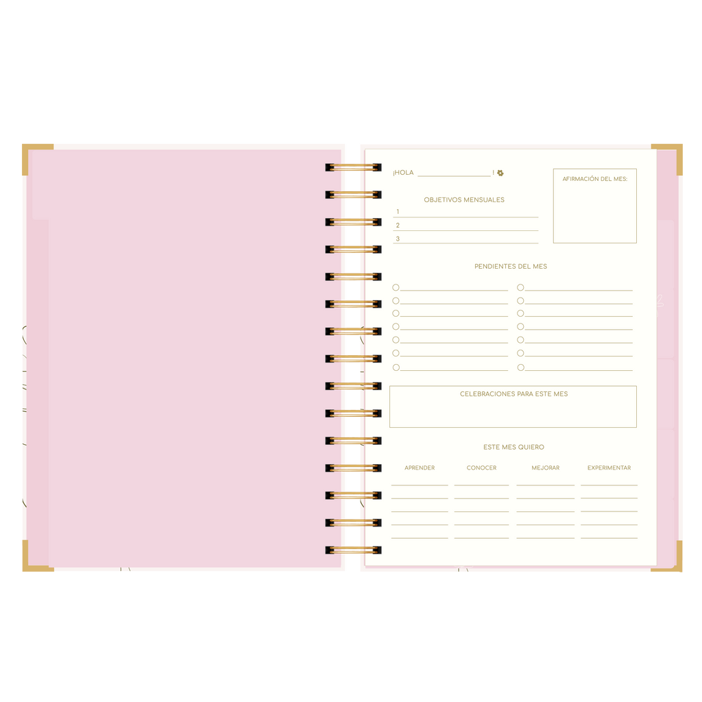 AGENDA SEMANAL ALEGRA (IMPERFECTA)