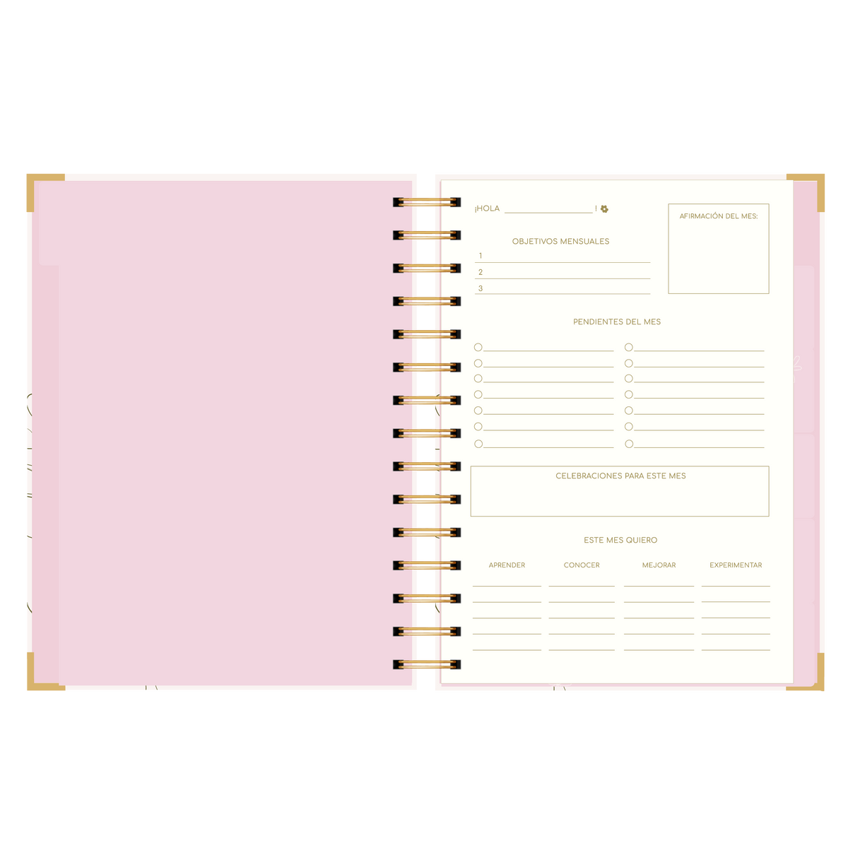 AGENDA SEMANAL ALEGRA (IMPERFECTA)