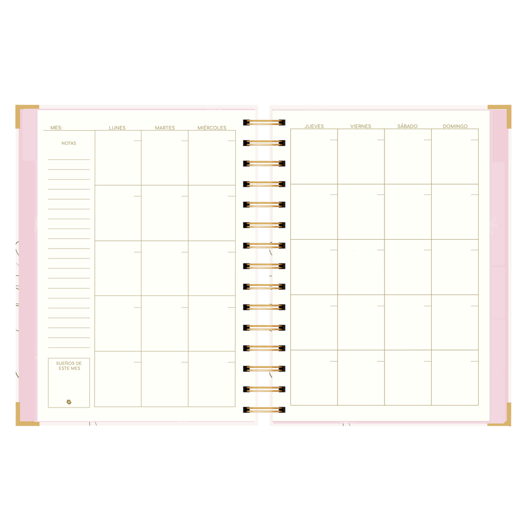 AGENDA SEMANAL ALEGRA (IMPERFECTA)