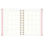 AGENDA SEMANAL ALEGRA (IMPERFECTA)