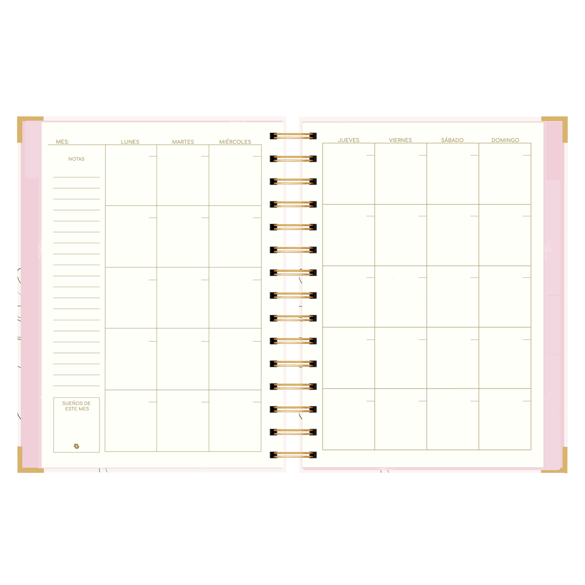 AGENDA SEMANAL ALEGRA (IMPERFECTA)