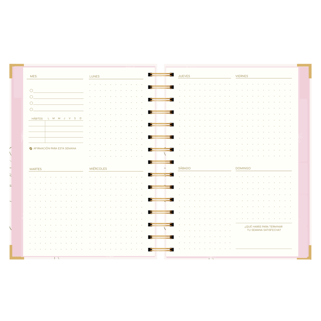 AGENDA SEMANAL ALEGRA (IMPERFECTA)