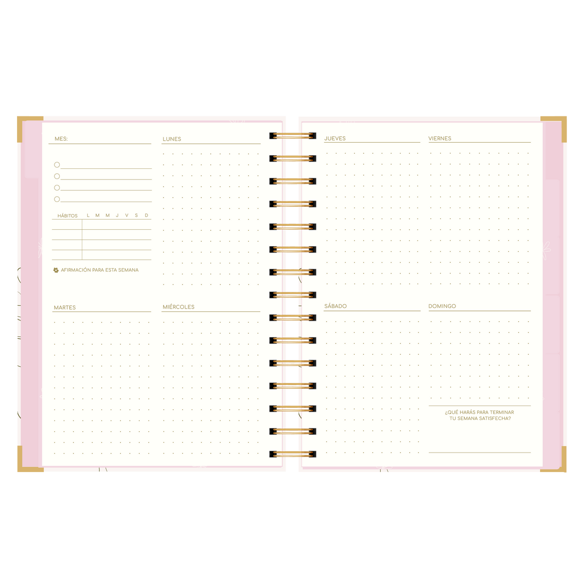 AGENDA SEMANAL ALEGRA (IMPERFECTA)