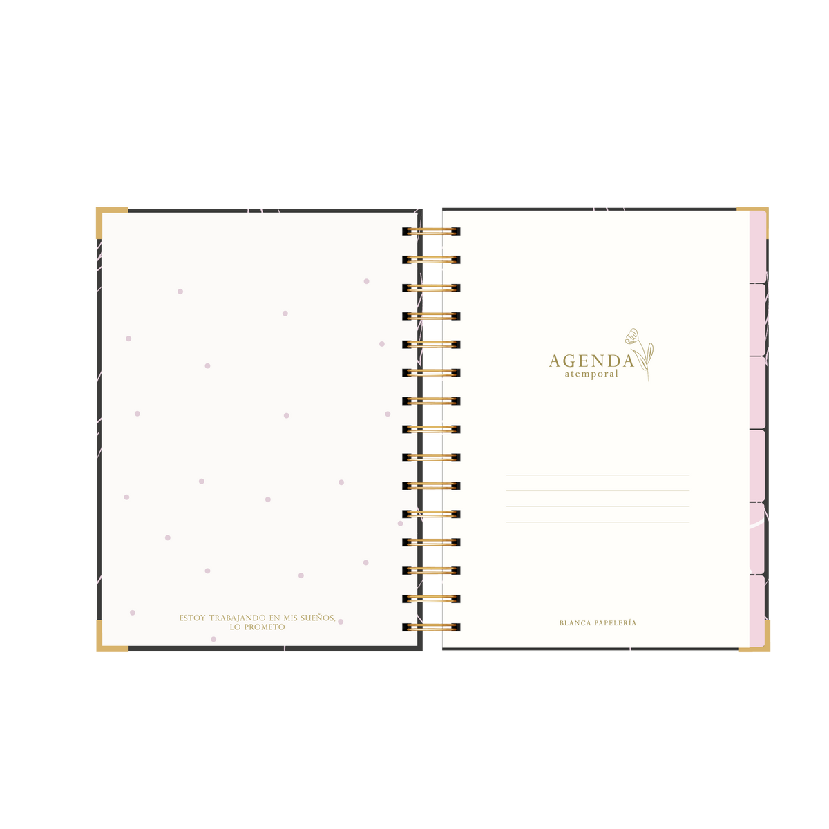 AGENDA SEMANAL LAVANDA (IMPERFECTA)