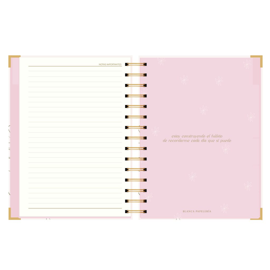AGENDA SEMANAL ALEGRA (IMPERFECTA)