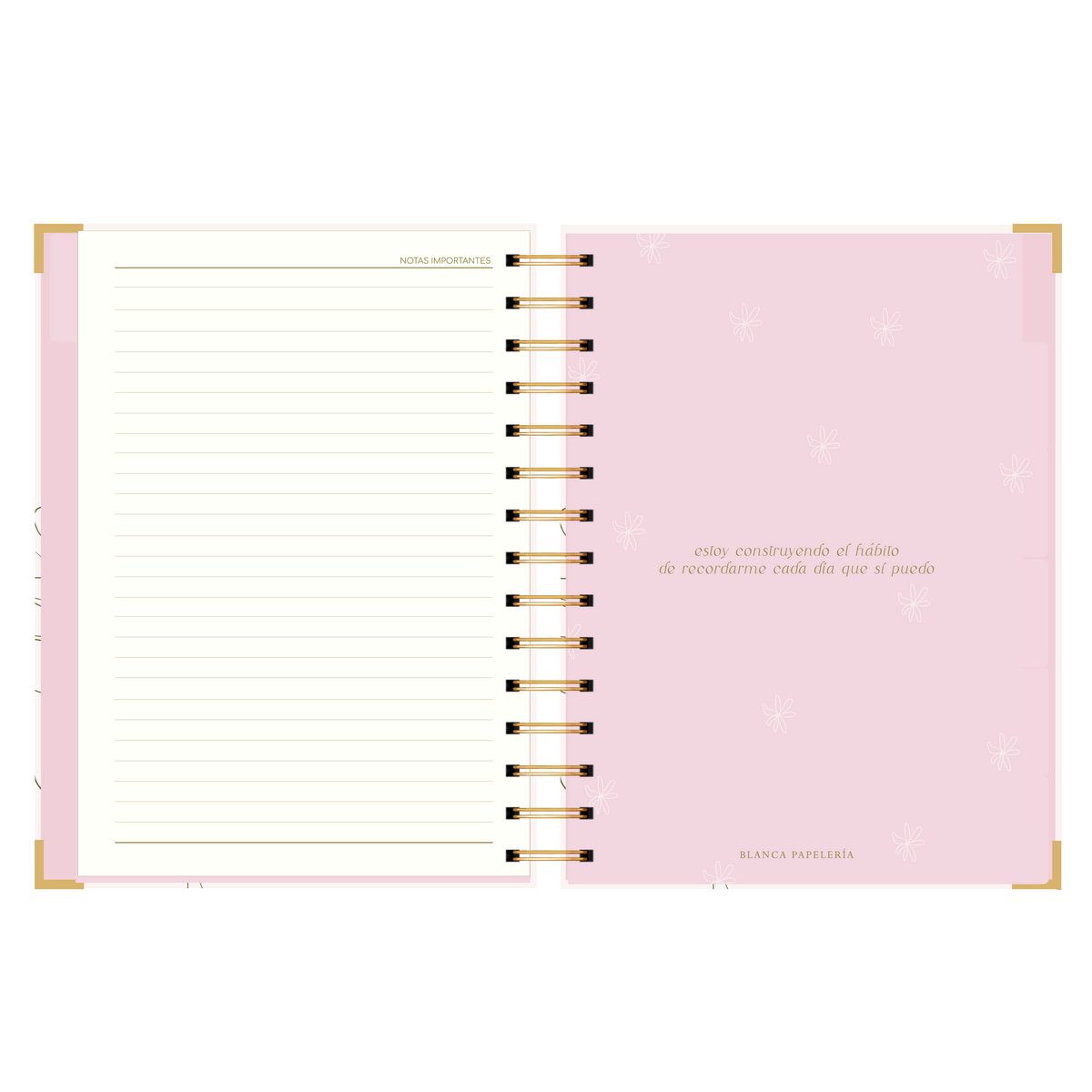 AGENDA SEMANAL ALEGRA (IMPERFECTA)