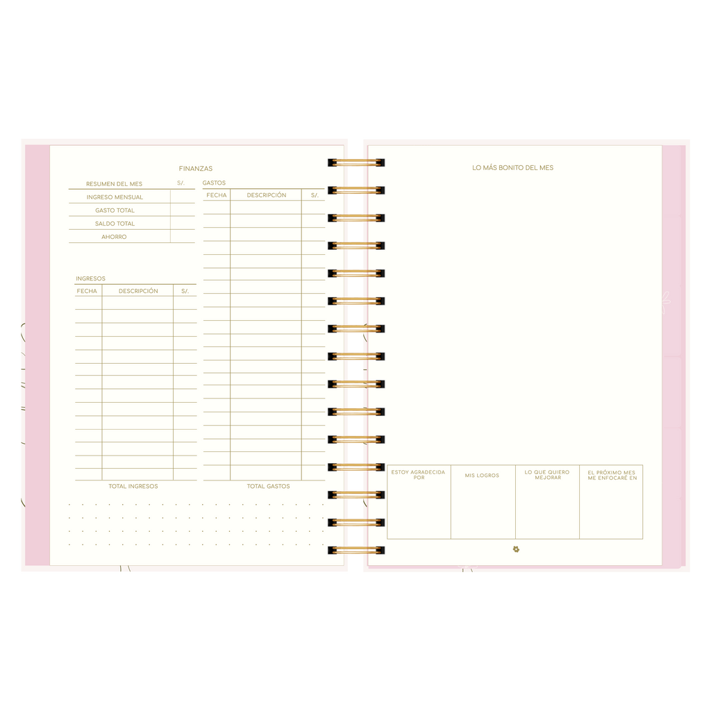 AGENDA SEMANAL ALEGRA (IMPERFECTA)