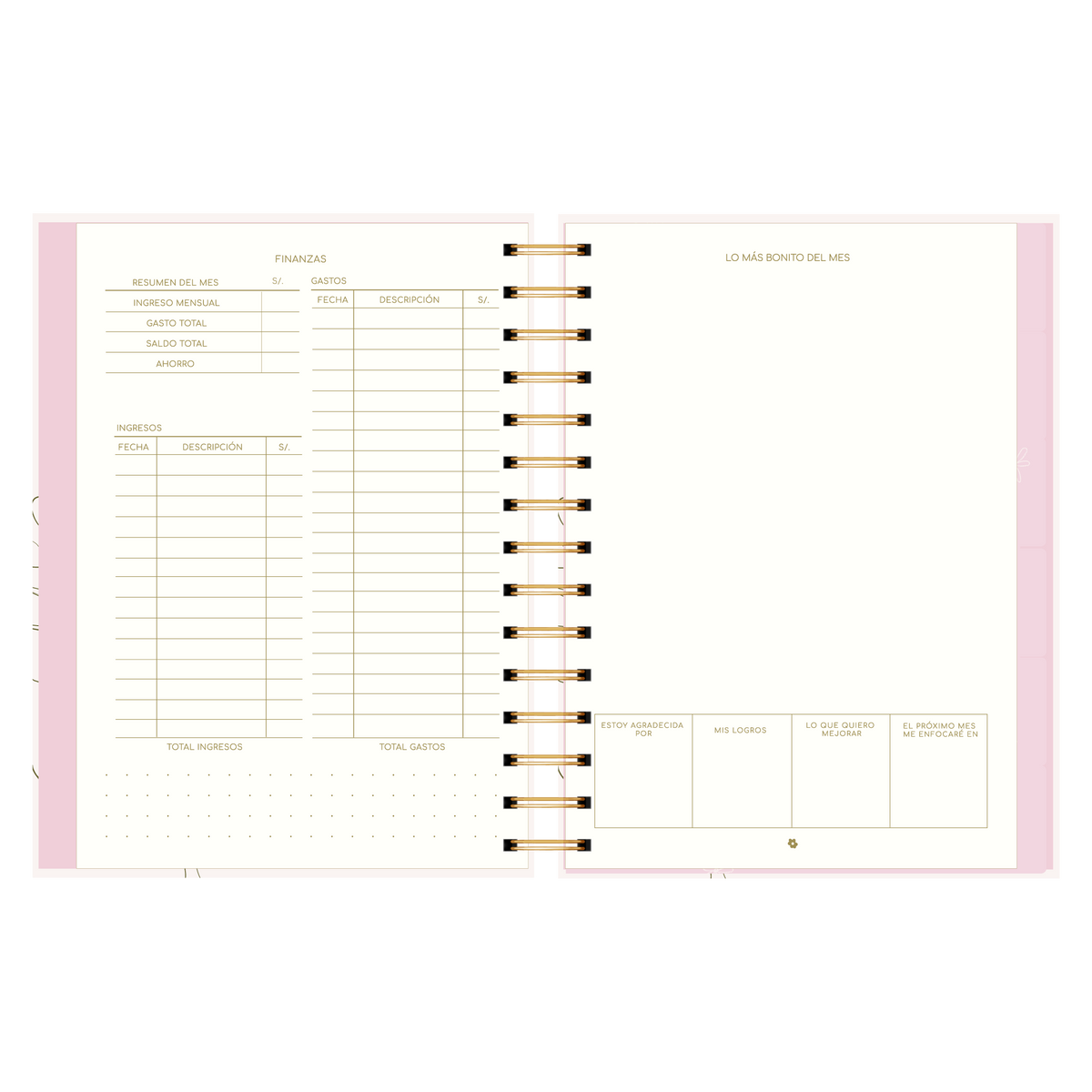 AGENDA SEMANAL ALEGRA (IMPERFECTA)