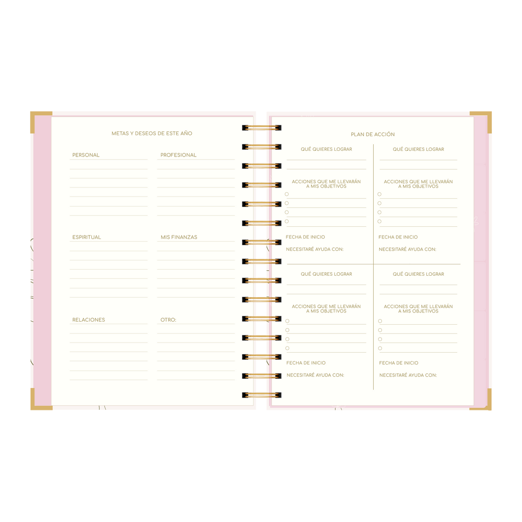 SECCION METAS Y PLAN DE ACCION DE LA AGENDA