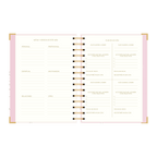 SECCION METAS Y PLAN DE ACCION DE LA AGENDA