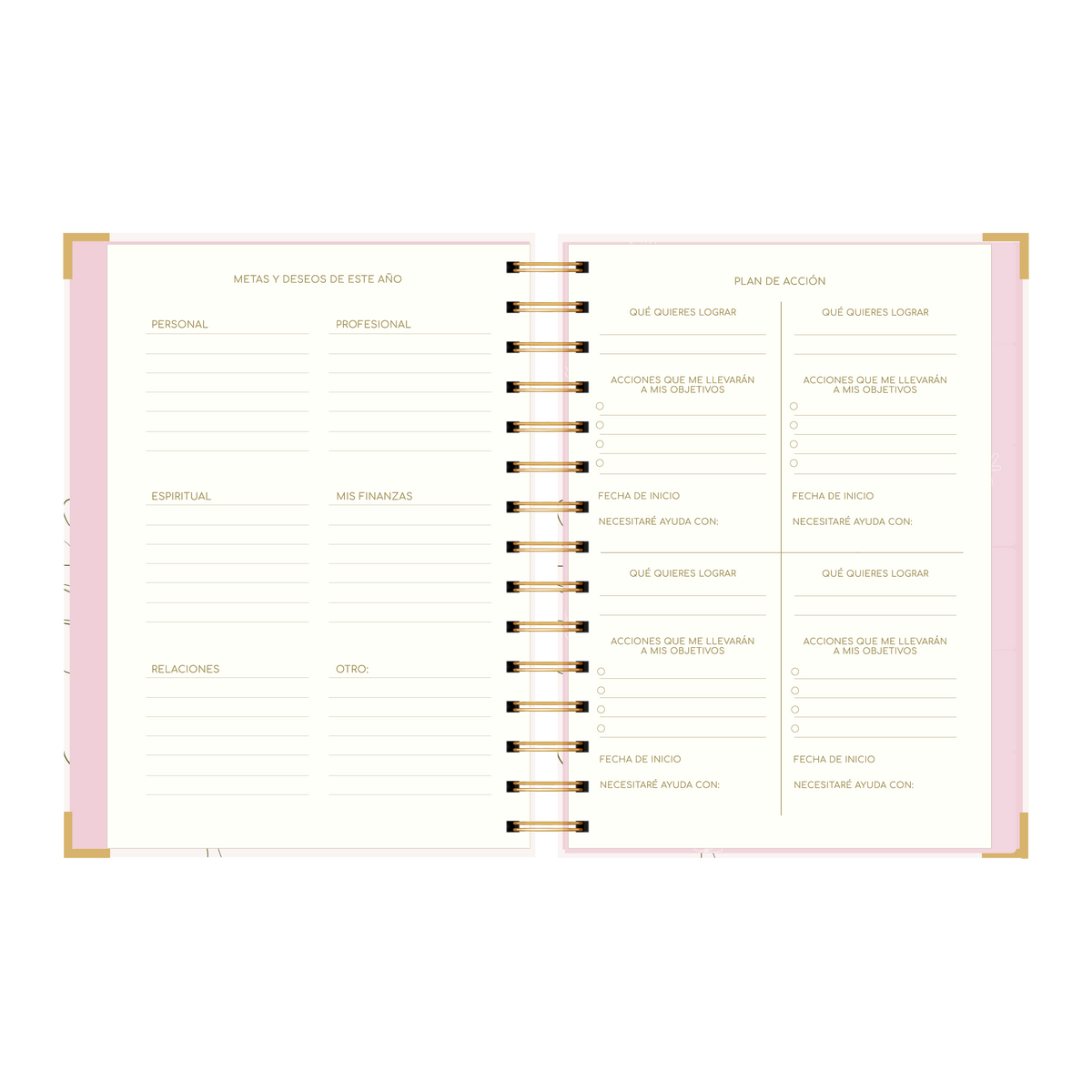 SECCION METAS Y PLAN DE ACCION DE LA AGENDA