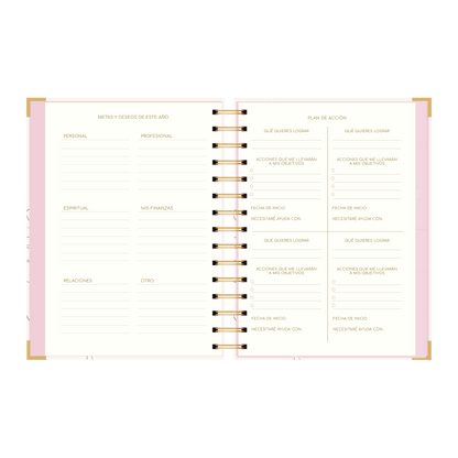 SECCION METAS Y PLAN DE ACCION DE LA AGENDA