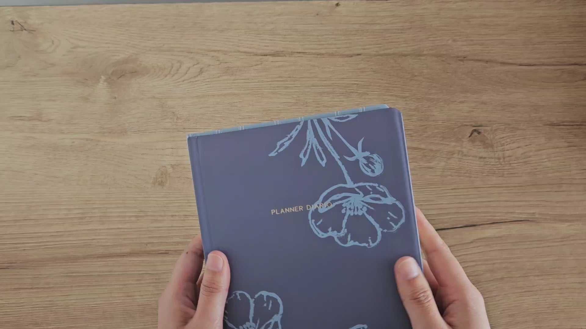 Cargar video: PLANNER DIARIO EMPASTADO