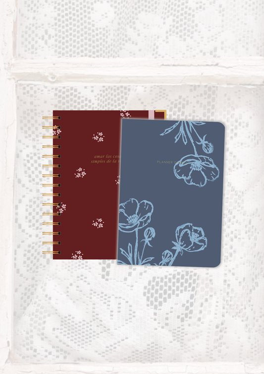 KIT 2: AGENDA + PLANNER DIARIO + LIBRETA