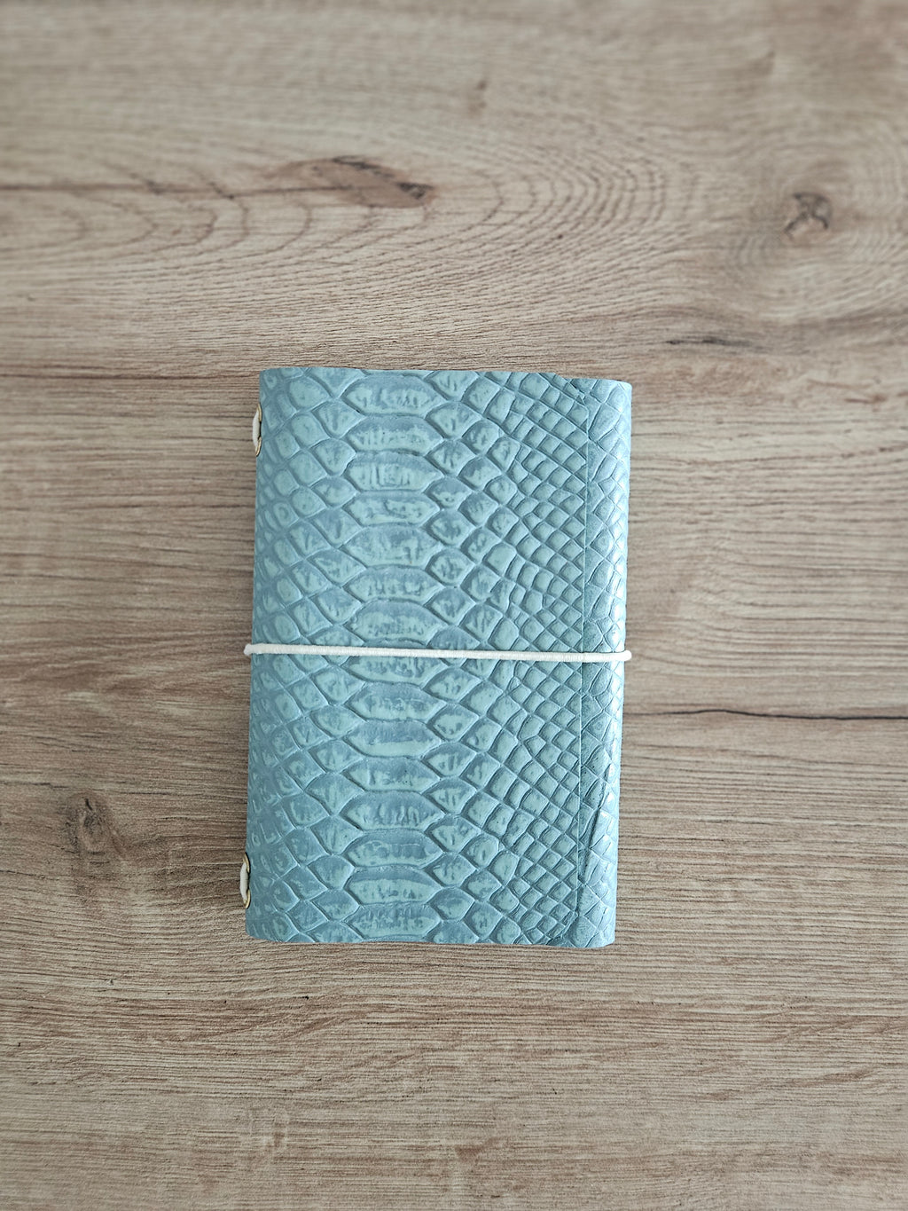 JOURNAL MIDORI A6 │ PITÓN VERDE AGUA