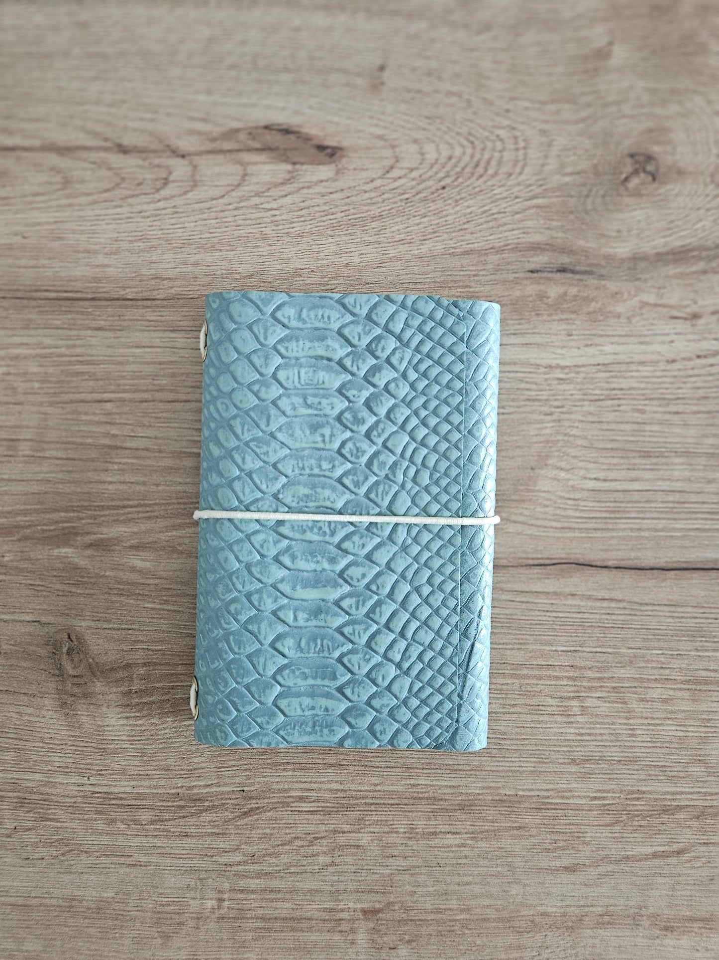 JOURNAL MIDORI A6 │ PITÓN VERDE AGUA