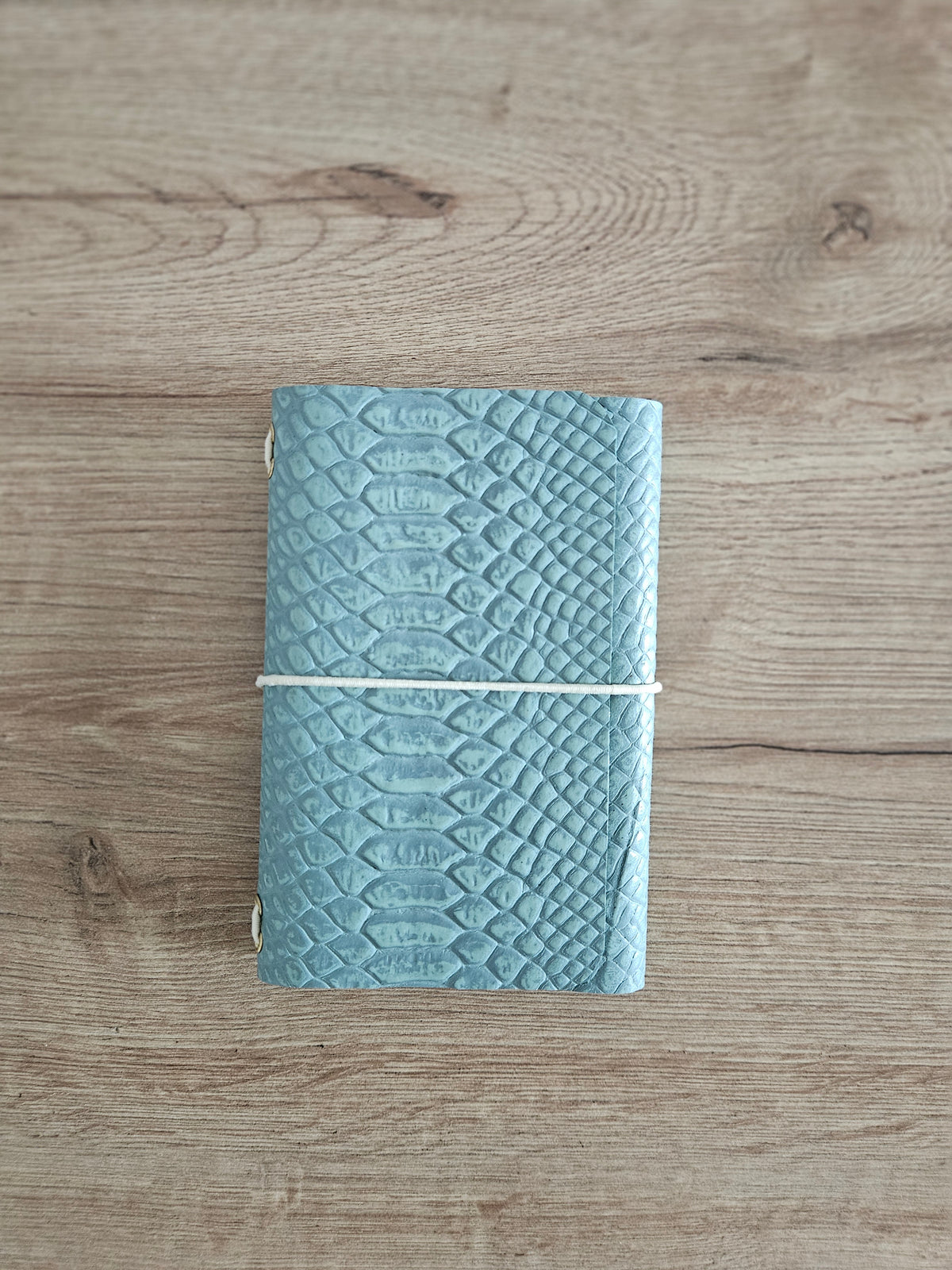 JOURNAL MIDORI A6 │ PITÓN VERDE AGUA