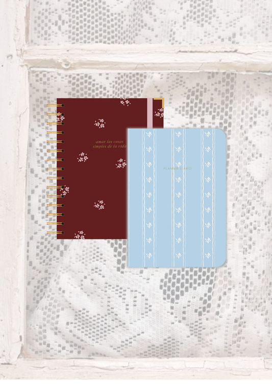 KIT 2: AGENDA + PLANNER DIARIO + LIBRETA