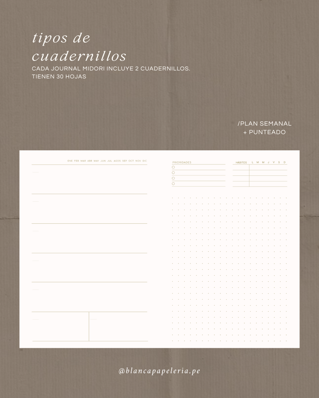 CUADERNILLO PLANNER SEMANAL