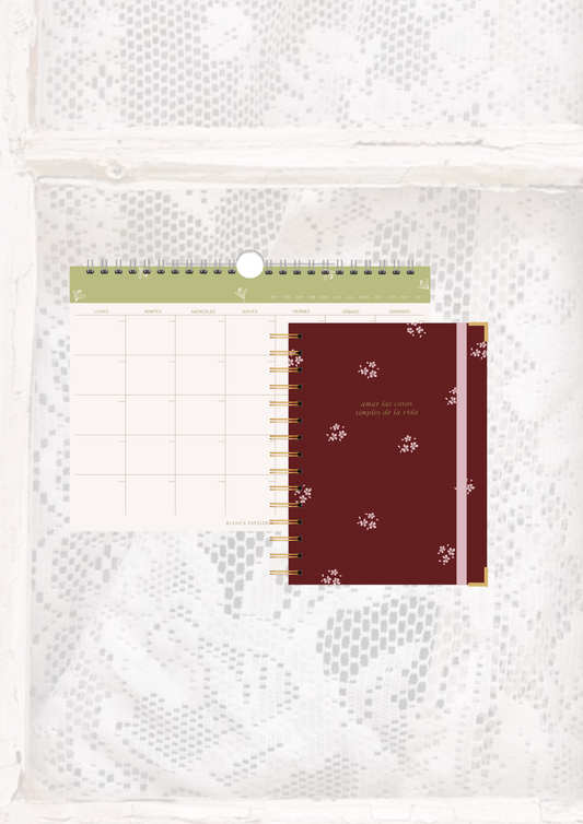KIT 1: DÚO PLANES