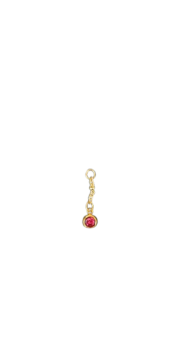 CHARM - 01