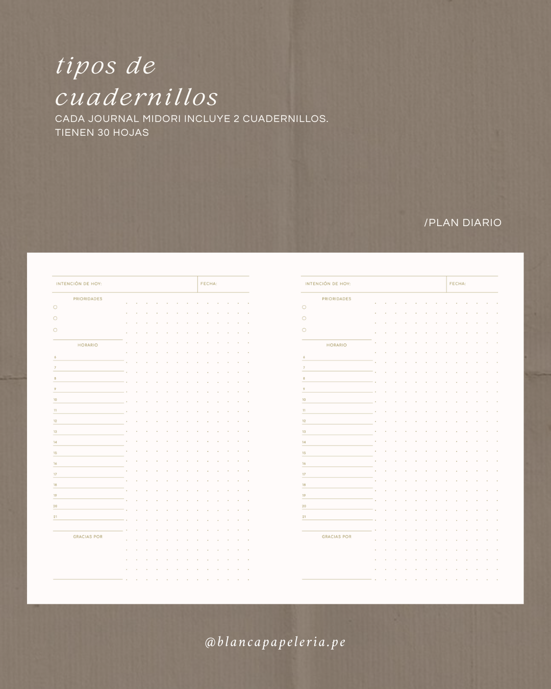 CUADERNILLO PLANNER DIARIO